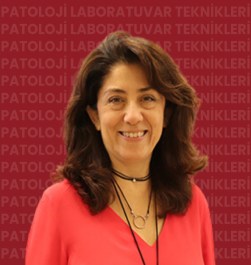 Prof. Dr. Şirin FUNDA EREN