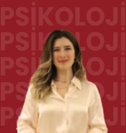 Lecturer Ebru İPEK