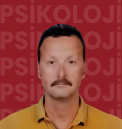 Dr. Öğr. Üyesi Murat YOLSAL (*)