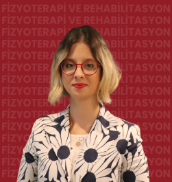 Öğr. Gör. Azize DİK (*)