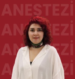 Öğr. Gör. Elif PAKLACI YORMAZ