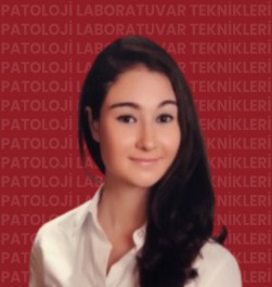 Öğr. Gör. Nilay YÖNET ( ** )