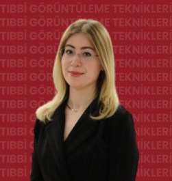Öğr. Gör. Nur KORKMAZ*