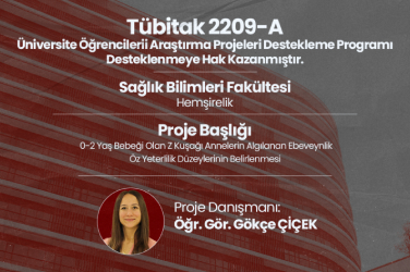 0-2 Yaş Bebeği olan Z Kuşağı Annelerin Algılanan Ebeveynlik Öz Yeterlilik Düzeylerinin Belirlenmesi