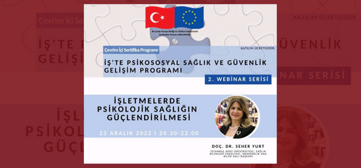 İş'te Psikososyal Sağlık Ve Güvenlik Gelişim Programı