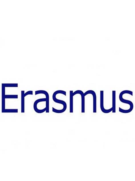 Erasmus+, Sanal Hareketlilik ve Covid-19 Bilgilendirme Toplantıları